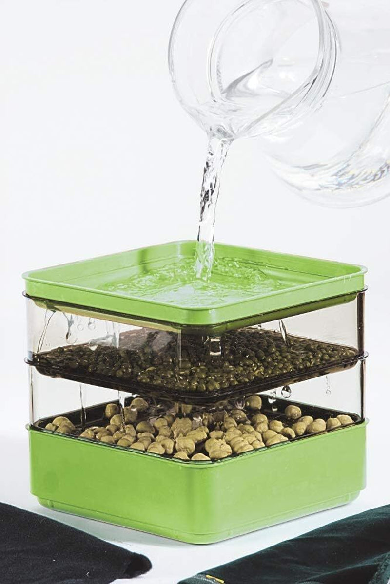 Seed Sprouter Kit Two Tier Stackable Seedling Starter Tray with Lid Microgreens