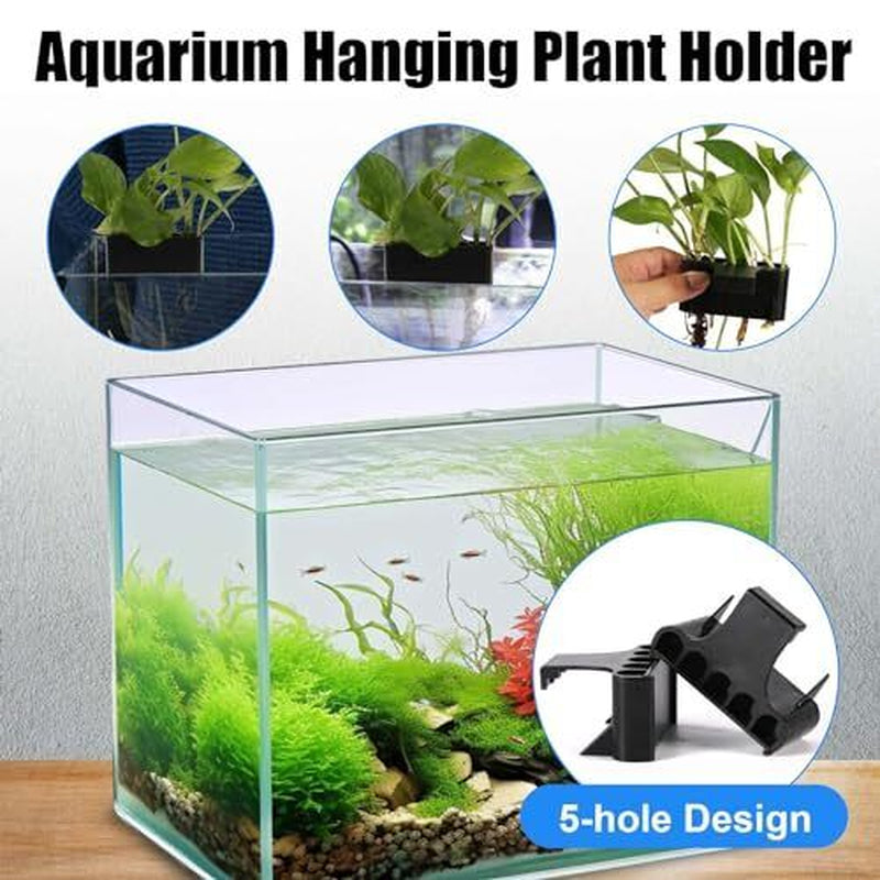 2Pcs Aquarium Plant Holder, 5 Holes Top Rimmed Aquarium Floating Planter Box