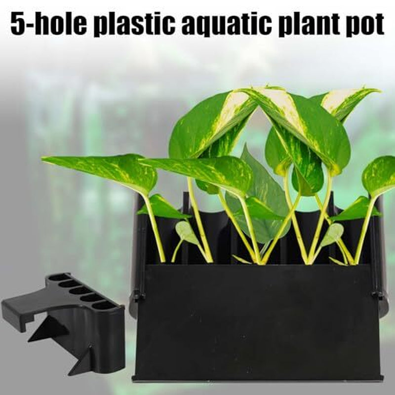 2Pcs Aquarium Plant Holder, 5 Holes Top Rimmed Aquarium Floating Planter Box